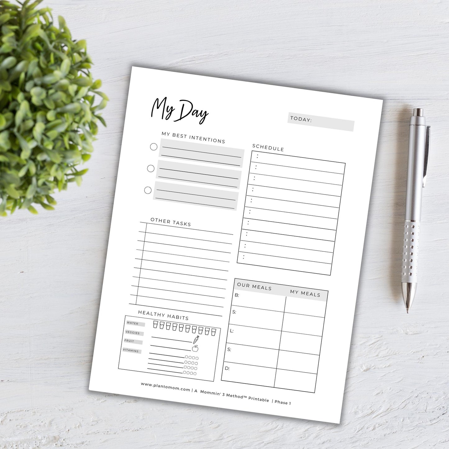 PRINTABLE DAILY PLANNER BUNDLE OF 5 - US LETTER COLOR 'MY DAY' LAYOUT